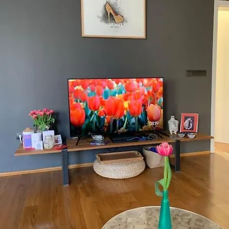 Large 2-bedroom Centre Art Sofia